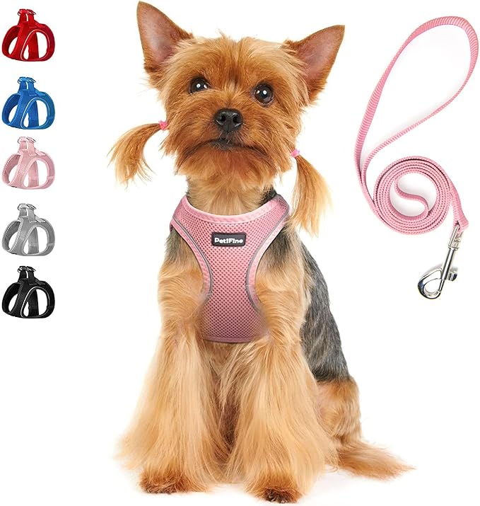 PetiFine Extra Small Step in Dog Harness and Leash Set, Cat Harness and Leash Escape Proof, All Weather Mesh Reflective, Step-in Air Vest Harnesses for Puppy(XXXS, Pink)