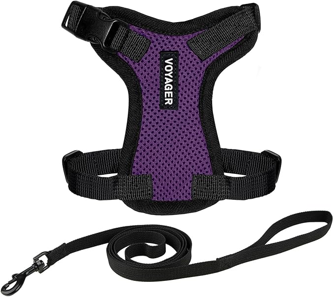 Voyager Step-in Lock Adjustable Cat Harness w. Cat Leash Combo Set with Neoprene Handle 5ft - Supports Small, Medium and Large Breed Cats by Best Pet Supplies - Purple/Black Trim, XS