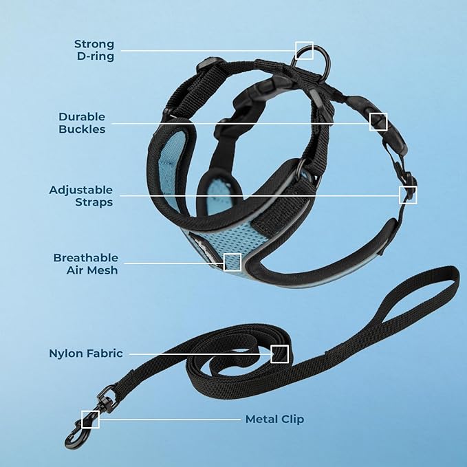Voyager Escape Proof Cat Harness and Leash Set with Reflective Stitching, Neoprene Handle 5ft - Supports Small, Medium and Large Cats, Kittens for Walking by Best Pet Supplies - BT-Baby Blue, S