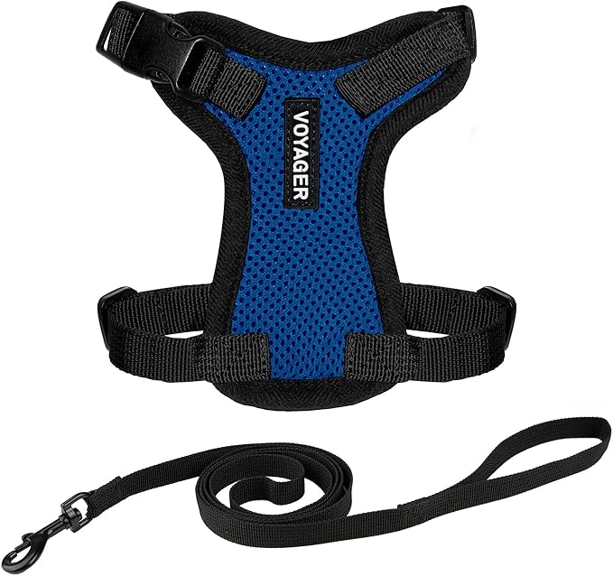 Voyager Step-in Lock Adjustable Cat Harness w. Cat Leash Combo Set with Neoprene Handle 5ft - Supports Small, Medium and Large Breed Cats by Best Pet Supplies - Royal Blue/Black Trim, XS