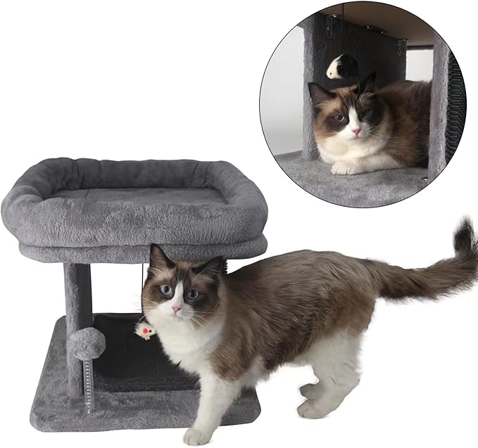 Large Cat Bed with Scratching Post and Combing Board, Sturdy and Durable, Ideal for Small Breeds