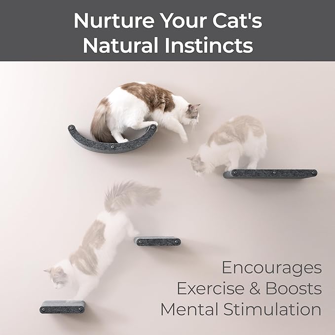 Pryde Pets Wall Mounted Cat Shelves - Set of 4 - Cat Wall Furniture to Enrich Your Feline. Modular and Modern Designed Cat Furniture for Indoor Cats (Charcoal)