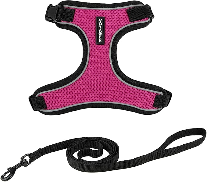 Voyager Escape Proof Cat Harness and Leash set with Reflective Stitching, Neoprene Handle 5ft - Supports Small, Medium and Large Cats, Kittens for walking by Best Pet Supplies - Black Trim-Fuchsia, XS