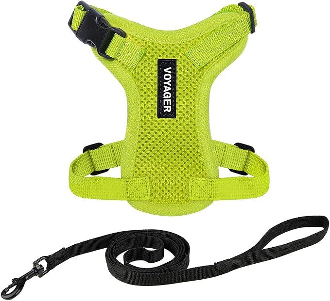Voyager Step-in Lock Adjustable Cat Harness w. Cat Leash Combo Set with Neoprene Handle 5ft - Supports Small, Medium and Large Breed Cats by Best Pet Supplies - Lime Green, XXS