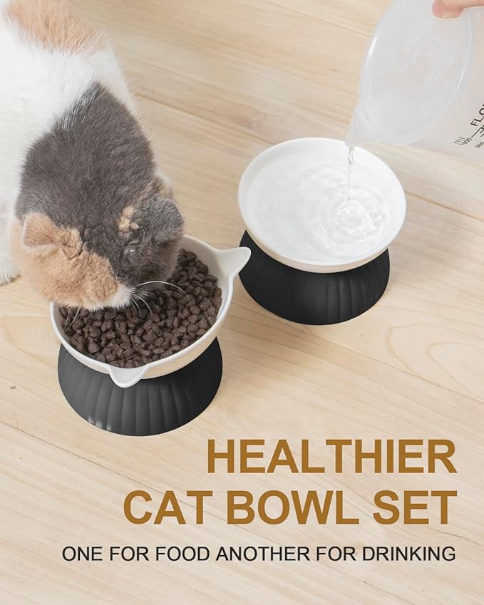 2 Ceramic Raised Cat Food Bowls, Elevated Cat Food and Water Bowl Set, Pet Bowl for Indoor Cats and Small Dogs, Anti-Vomiting Cat Dog Feeder with Plastic Base, Dishwasher Safe, Black…