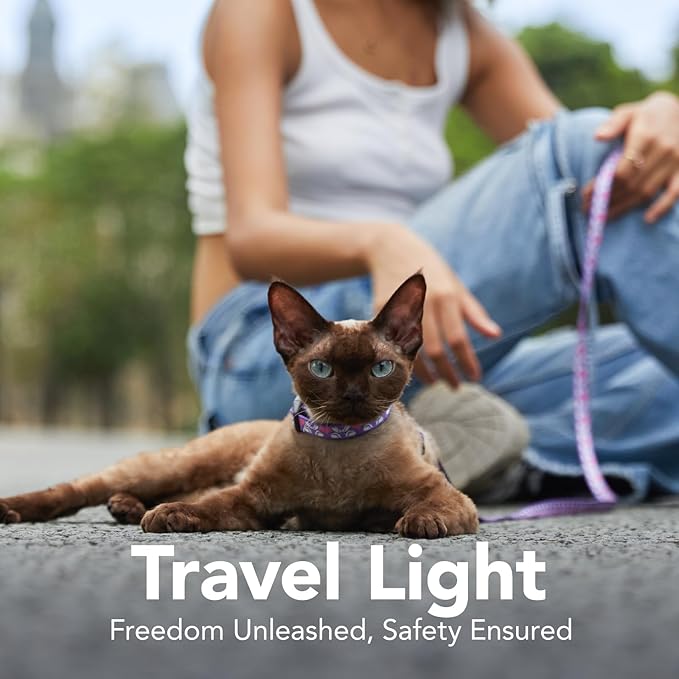 Cat Harness and Leash Set - Escape Proof Vest Harness for Cat, Comfortable Soft Lightweight, Easy Adjustable Cat Collar Harness for Small Medium Large Cats (Rabbit in Wonderland)