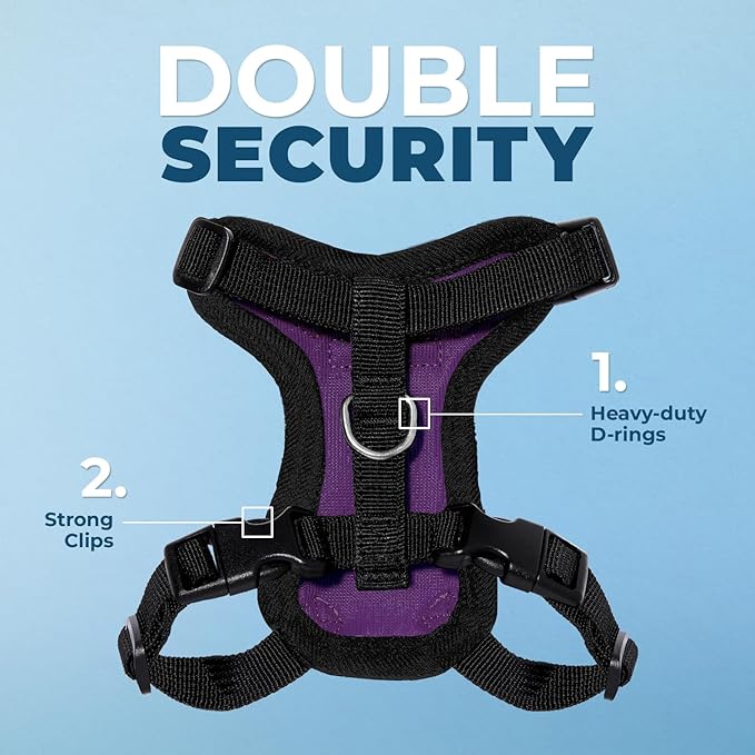 Voyager Step-in Lock Adjustable Cat Harness w. Cat Leash Combo Set with Neoprene Handle 5ft - Supports Small, Medium and Large Breed Cats by Best Pet Supplies - Purple/Black Trim, XS