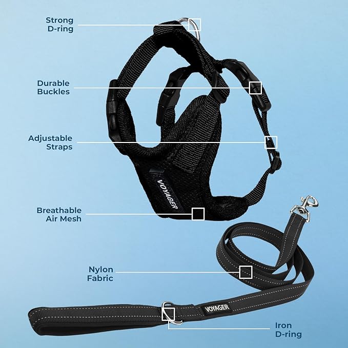 Voyager Step-in Lock Dog Harness w Reflective Dog Leash Combo Set with Neoprene Handle 5ft - Supports Small, Medium and Large Breed Puppies/Cats by Best Pet Supplies - Black, XL