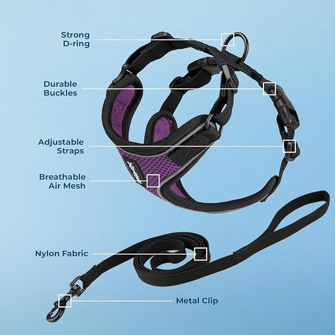 Voyager Escape Proof Cat Harness and Leash Set with Reflective Stitching, Neoprene Handle 5ft - Supports Small, Medium and Large Cats, Kittens for Walking by Best Pet Supplies - Black Trim-Purple, S