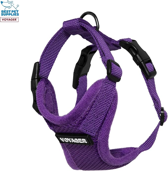 Voyager Step-in Lock Adjustable Cat Harness w. Cat Leash Combo Set with Neoprene Handle 5ft - Supports Small, Medium and Large Breed Cats by Best Pet Supplies - Purple, XXS