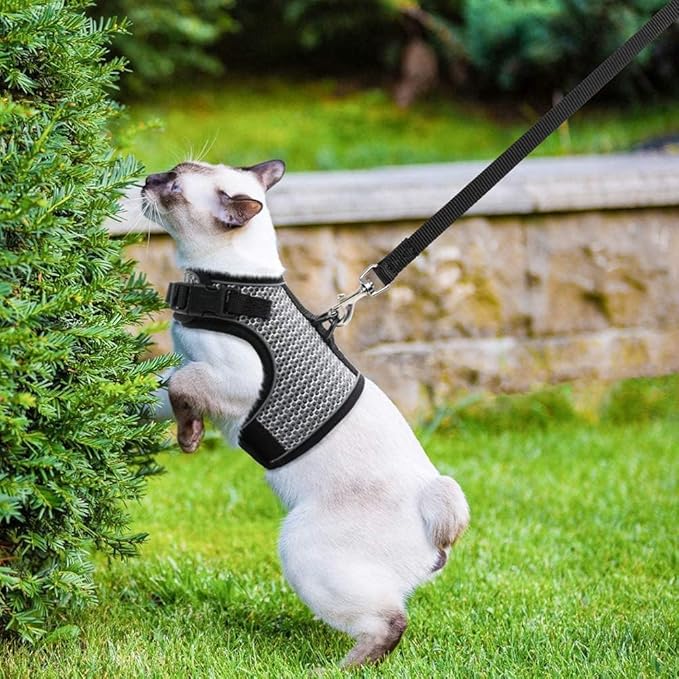 PUPTECK Soft Mesh Cat Vest Harness and Leash Set Puppy Padded Pet Harnesses Escape Proof for Cats Small Dogs