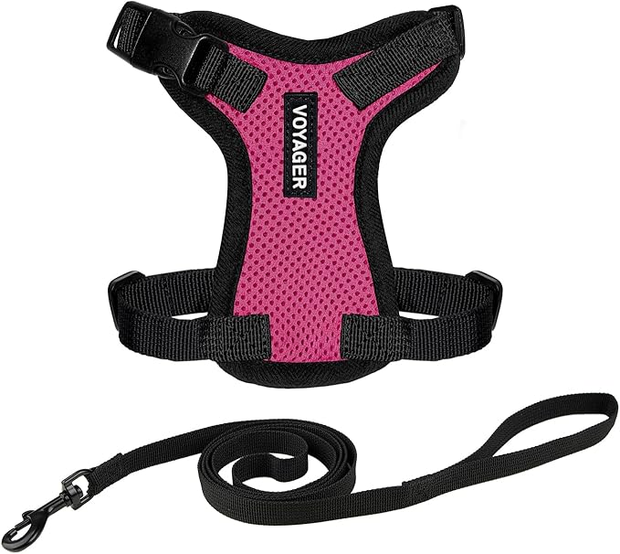 Voyager Step-in Lock Adjustable Cat Harness w. Cat Leash Combo Set with Neoprene Handle 5ft - Supports Small, Medium and Large Breed Cats by Best Pet Supplies - Fuchsia/Black Trim, XXS