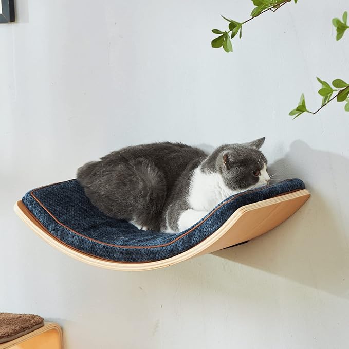 Cat Shelf with Comfortable Cat Cushion - Curved Modern Cat Bed (Large Size) - Lotus Leaf Design Cat Wall Perch - Wall Mounted Cat Furniture for Sleeping, Playing, Climbing, and Lounging