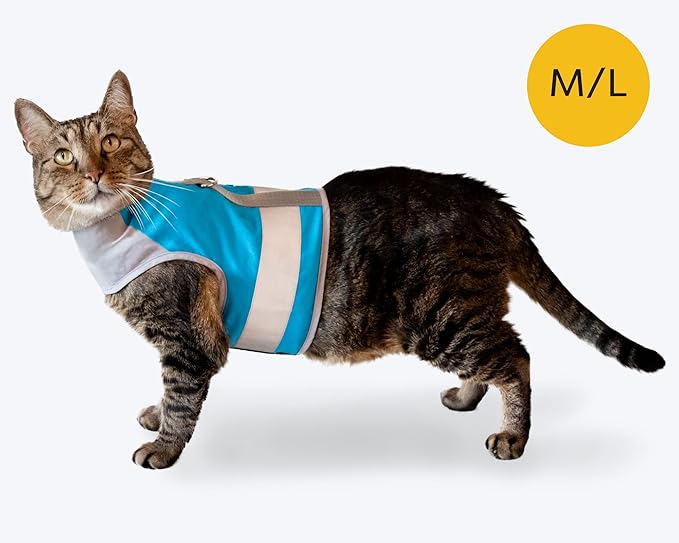 CAT SCHOOL Cat Harness and Leash Set for Outdoor Walks, Training, and Travel - Secure, Soft, Comfortable Cat Vest Harness with 10' Long Cat Leash - Easy to Use with Step-by-Step Instructions M/L