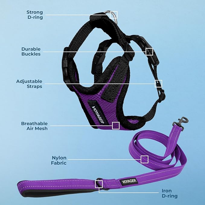 Voyager Step-in Lock Dog Harness w Reflective Dog Leash Combo Set with Neoprene Handle 5ft - Supports Small, Medium and Large Breed Puppies/Cats by Best Pet Supplies - Purple/Black Trim, XS
