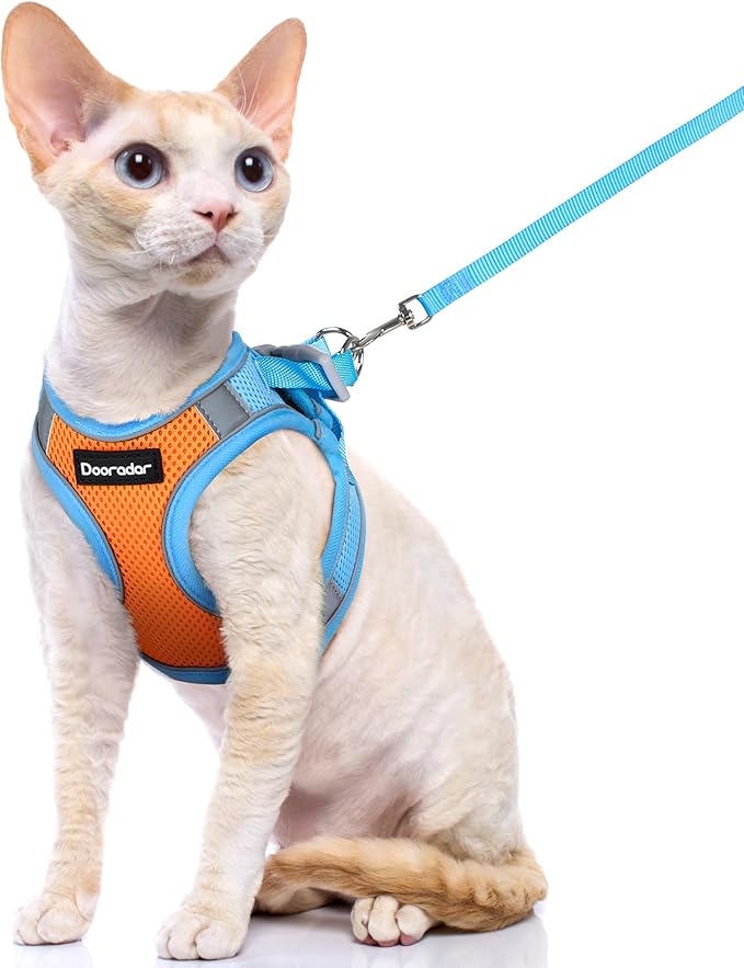Dooradar Cat Harness and Leash Set, Escape Proof Lightweight Kitten Harness, Soft Breathable Reflective Vest for Outdoor Walking Traveling, Adjustable for Small Cats, Orange & Blue, S