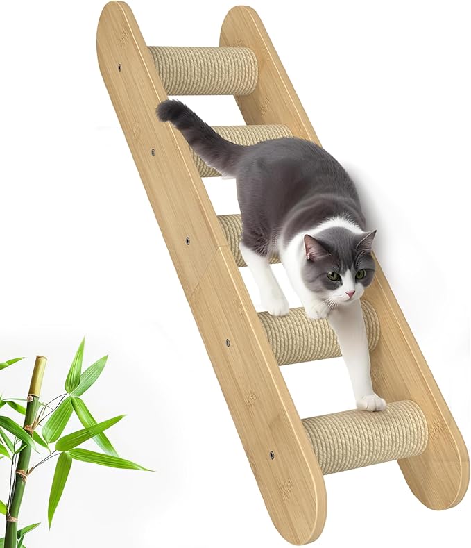 Cat Wall Shelves Furniture for Climbing - Cat House Wall Mounted - Indoor Wooden Floating Cat Furniture - Different Models Including Shelves, Perches, Hammock, Bed, Bridges, Walkways
