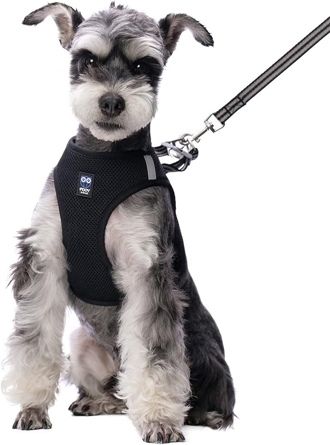 Cat Harness and Leash for Walking Escape Proof, Adjustable Soft Mesh Comfortable Vest Harnesses, Breathable Reflective Strips Step-in Jacket