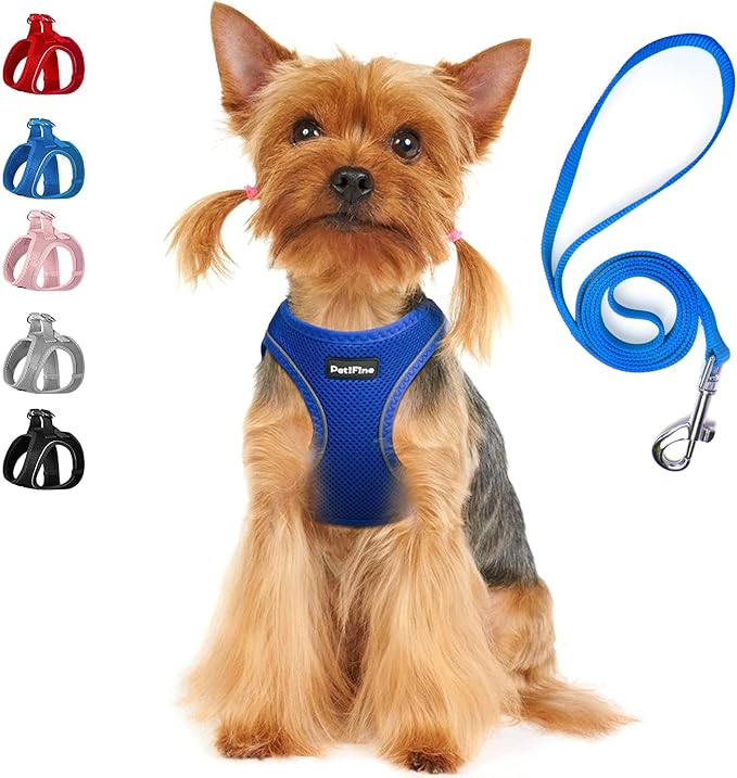 PetiFine Extra Small Step in Dog Harness and Leash Set, Cat Harness and Leash Escape Proof, All Weather Mesh Reflective, Step-in Velcro Air Vest Harnesses for Puppy(XXXS, Blue)