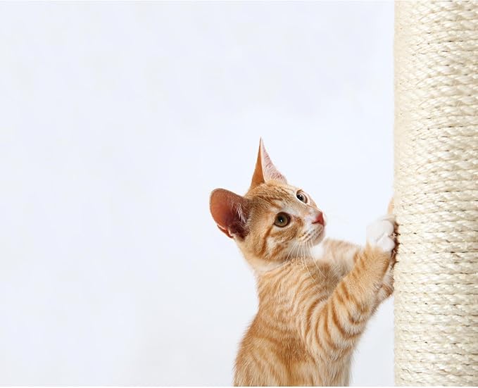 TRIXIE Replacement Sisal Post for Scratching Posts, Cat Trees and Cat Towers, 3.5 in x 11.8 in (9 x 30 cm)