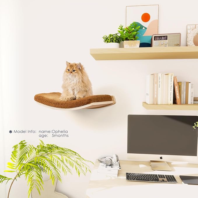Cat Wall Shelves,Wall Mounted Cat Wall Furniture,Curved Cat Shelves and Perches for Wall,Floating Cat Wall Bed Cat Shelf with Comfortable Cat Cushion