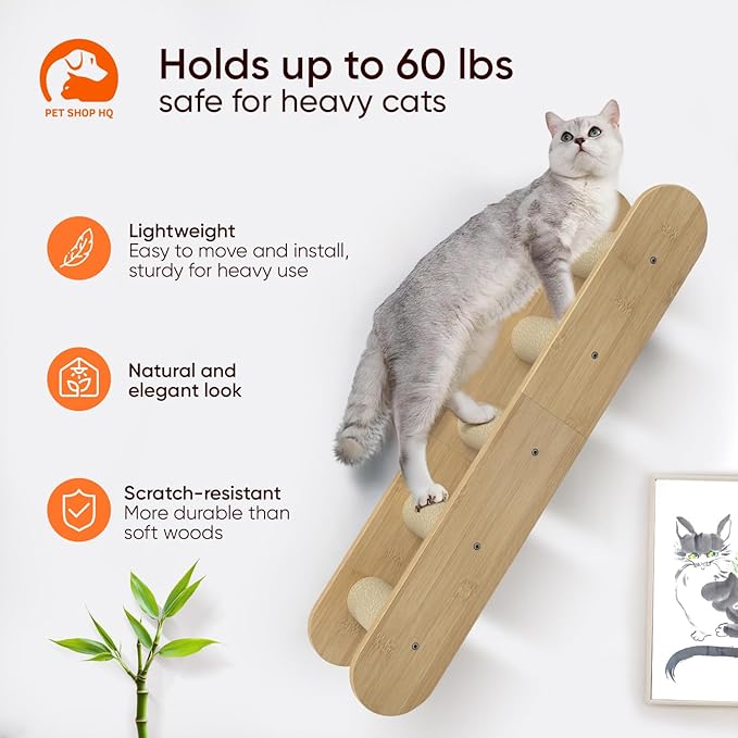 Cat Wall Shelves Furniture for Climbing - Cat House Wall Mounted - Indoor Wooden Floating Cat Furniture - Different Models Including Shelves, Perches, Hammock, Bed, Bridges, Walkways