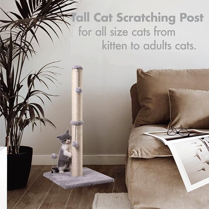 MECOOL 34“ Tall Cat Scratching Post Premium Basics Kitten Scratcher Sisal Scratch Posts Trees with Hanging Ball for Indoor Cats (34 inches for Adult Cats, Gray)