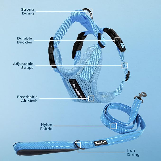 Voyager Step-in Lock Dog Harness w Reflective Dog Leash Combo Set with Neoprene Handle 5ft - Supports Small, Medium and Large Breed Puppies/Cats by Best Pet Supplies - Baby Blue, XS