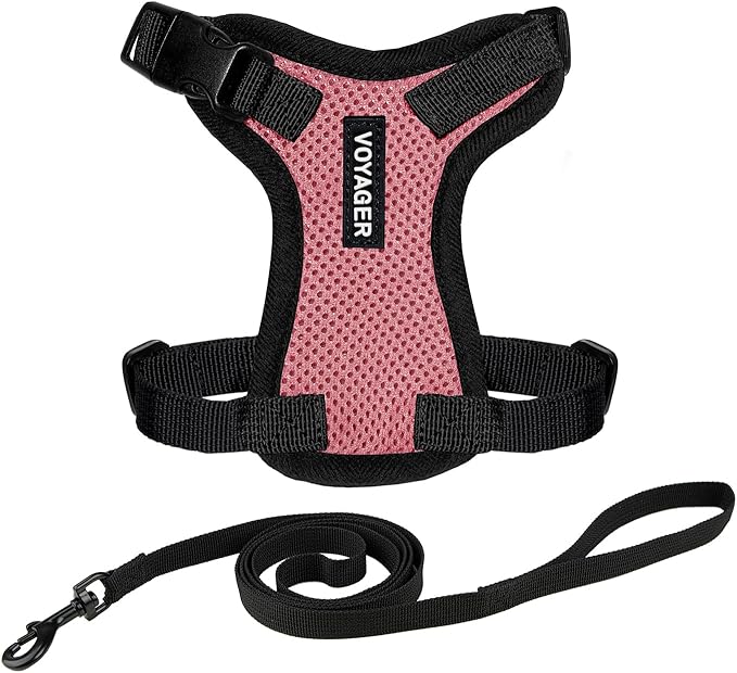 Voyager Step-in Lock Adjustable Cat Harness w. Cat Leash Combo Set with Neoprene Handle 5ft - Supports Small, Medium and Large Breed Cats by Best Pet Supplies - Pink/Black Trim, XXS
