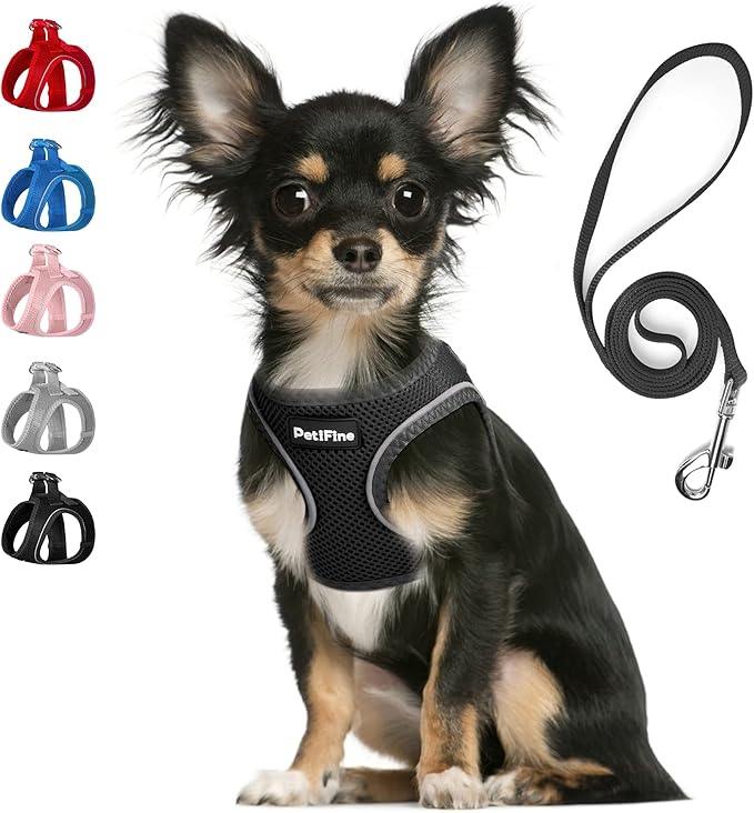 PetiFine Step in Small Dog Harness and Leash Set, Breathable All Weather Air Mesh Reflective Escape Proof, Step-in Vest Harnesses for Puppy(XS, Black)