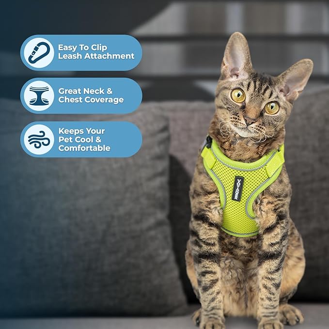 Voyager Escape Proof Cat Harness and Leash Set with Reflective Stitching, Neoprene Handle 5ft - Supports Small, Medium and Large Cats, Kittens for Walking by Best Pet Supplies - Lime, XXS