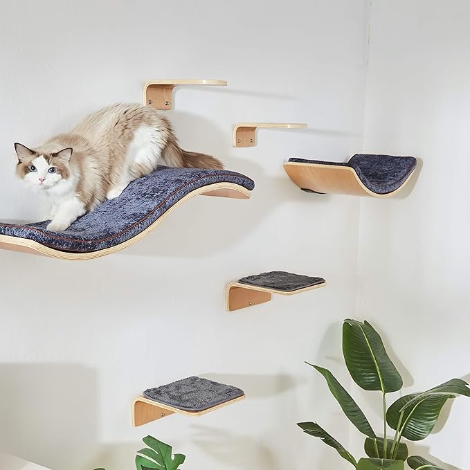 Cat Wall Shelf with Two Steps - Curved Cat Shelves and Perches for Wall (Large Size) - Wall Mounted Cat Furniture for Sleeping, Playing, Climbing, and Lounging
