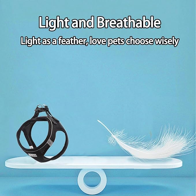 Cat Harness and Leash Set, Escape Proof Safe Adjustable Kitten Vest Harnesses for Walking, Easy Control Soft Breathable Mesh Jacket with Reflective Strips for Cats（Black Mesh，XXS）