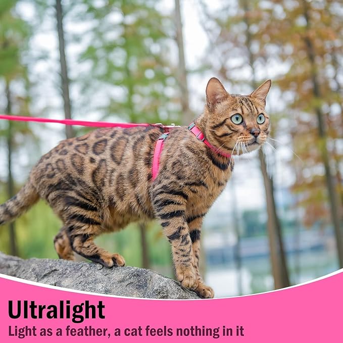 PUPTECK Adjustable Cat Harness and Leash Set Escape Proof Kitten Strap Collar for Walking Travel, Hot Pink, M