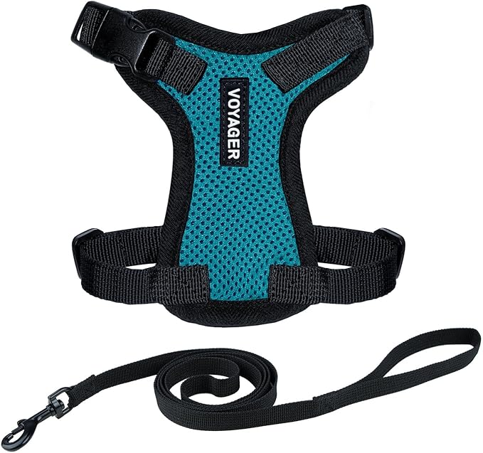 Voyager Step-in Lock Adjustable Cat Harness w. Cat Leash Combo Set with Neoprene Handle 5ft - Supports Small, Medium and Large Breed Cats by Best Pet Supplies - Turquoise/Black Trim, S