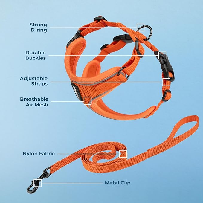 Voyager Escape Proof Cat Harness and Leash Set with Reflective Stitching, Neoprene Handle 5ft - Supports Small, Medium and Large Cats, Kittens for Walking by Best Pet Supplies - Orange, XXXS