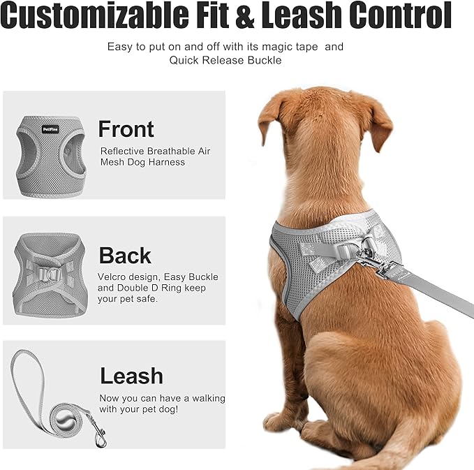 PetiFine Extra Small Step in Dog Harness and Leash Set, Cat Harness and Leash Escape Proof, All Weather Mesh Reflective, Step-in Air Vest Harnesses for Puppy(XXXS, Grey)