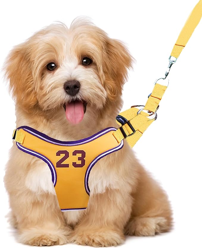 Dog Harness-Sporty Style Escape Proof Dog Harness -Adjustable Reflective Number Dogs Vest with Outdoor Pet Leash, Easy Control for Small,Medium Breeds (Yellow,S)