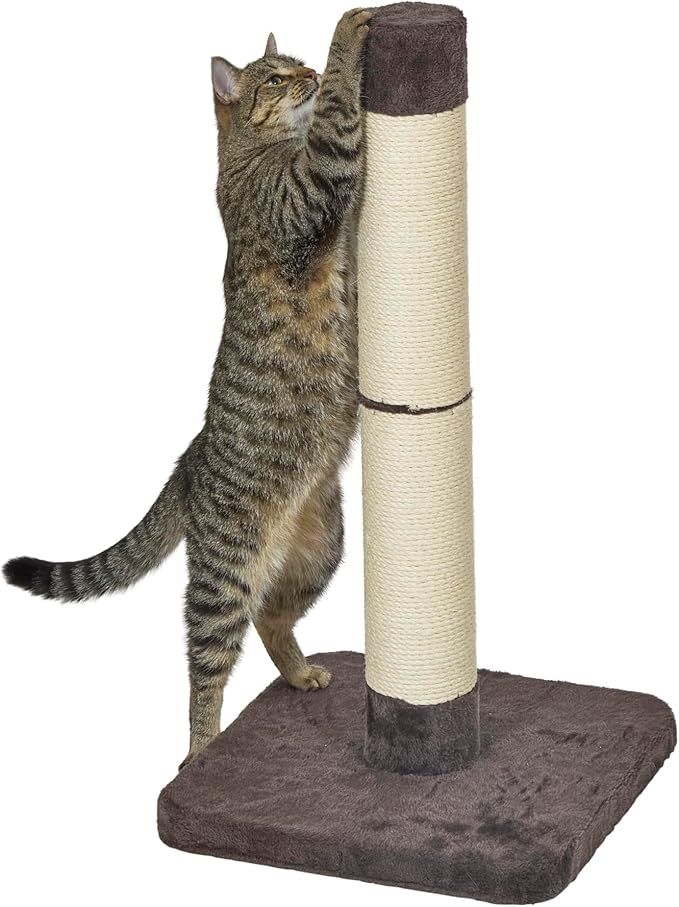 Feline Nuvo Medium, Forte Scratching Post- Brio