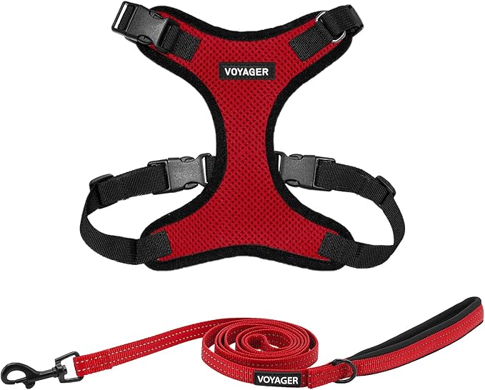 Voyager Step-in Lock Dog Harness w Reflective Dog Leash Combo Set with Neoprene Handle 5ft - Supports Small, Medium and Large Breed Puppies/Cats by Best Pet Supplies - Red/Black Trim, XL