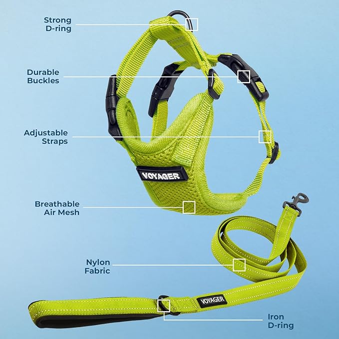 Voyager Step-in Lock Dog Harness w Reflective Dog Leash Combo Set with Neoprene Handle 5ft - Supports Small, Medium and Large Breed Puppies/Cats by Best Pet Supplies - Lime Green, XL