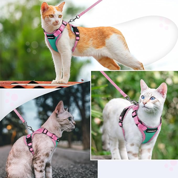 rabbitgoo Cat Harness and Leash Set, Escape Proof Soft Adjustable Vest Harnesses for Outdoor Walking, Easy Control Breathable Kitten Jacket with Reflective Strips, Green & Pink, S