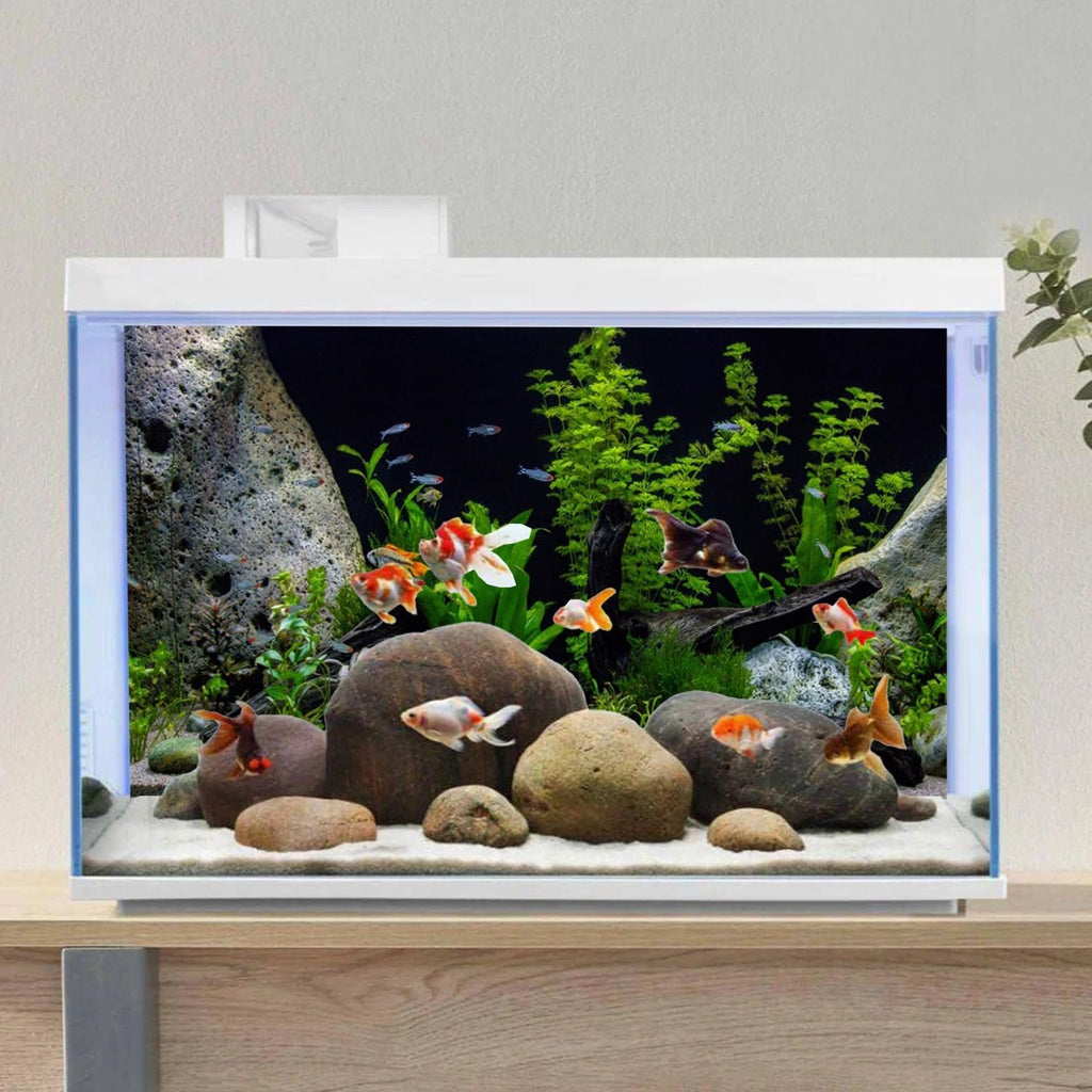 AWERT Vinyl Underwater Aquatic Plant Fish Tank Background Stone River Bed & Lake Aquarium Background 72x24 inches