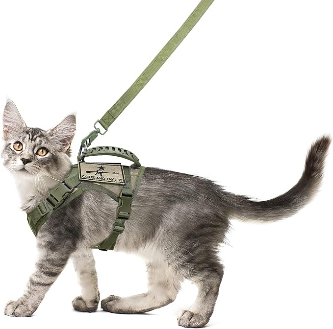 Tactical Cat Harness and Leash Set for Walking Escape Proof, Adjustable Large Cat Vest Harness with Molle Patches, Soft Mesh Padding, Rubber Handle Easy to Control