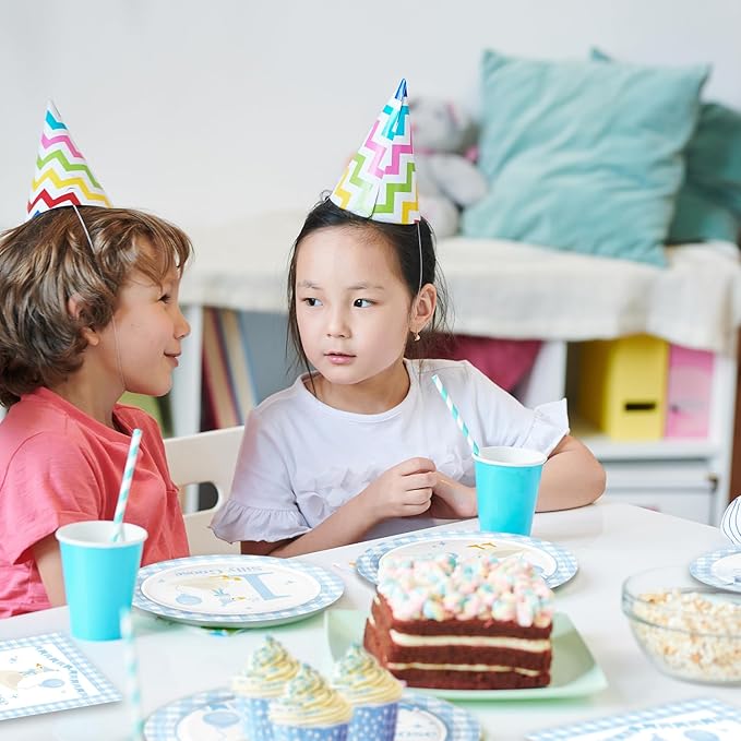 48Pcs One Silly Goose Birthday Decor Boy, Silly Goose 1st Happy Birthday Baby Shower Decorations with Blue Plates and Napkins Forks Set Party Supplies