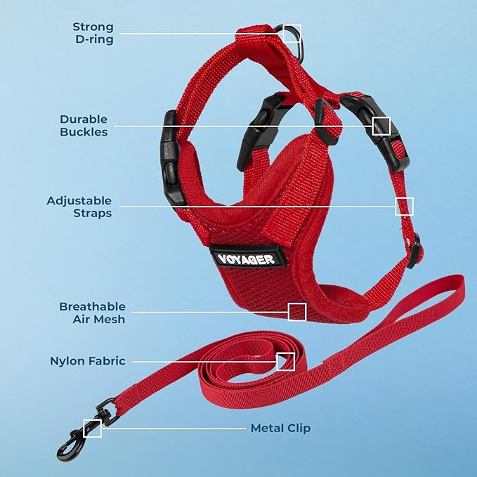 Voyager Step-in Lock Adjustable Cat Harness w. Cat Leash Combo Set with Neoprene Handle 5ft - Supports Small, Medium and Large Breed Cats by Best Pet Supplies - Red, S