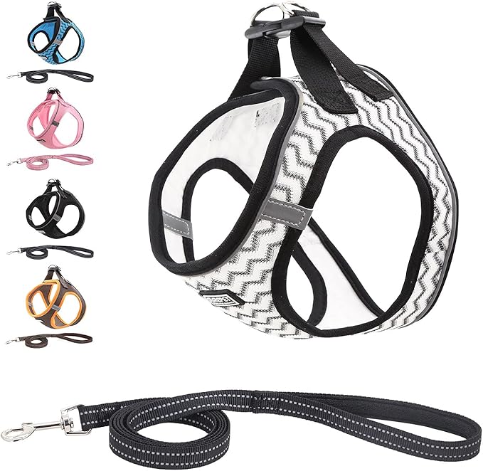 Soft Mesh Dog Harness and Leash Set, Step-in Reflective Breathable Comfort Padded Quick Dry Pet Puppy Vest Harness for Extra-Small/Small Medium Dogs and Cats (White, XXS)