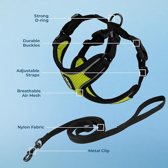Voyager Escape Proof Cat Harness and Leash Set with Reflective Stitching, Neoprene Handle 5ft - Supports Small, Medium and Large Cats, Kittens for Walking by Best Pet Supplies - Black Trim-Lime, S