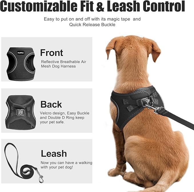 PetiFine Extra Small Step in Dog Harness and Leash Set, Cat Harness and Leash Escape Proof, All Weather Mesh Reflective, Step-in Air Vest Harnesses for Puppy(XXS, Black)