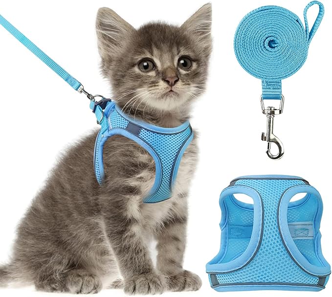 Cat Harness and Leash- Reflective Mesh Cat Vest for Walking Outdoor- Escape Proof Kitten Puppy Vest Harness -Comfort Fit, Lightweight, Easy Control (XXS, Blue),XX-Small